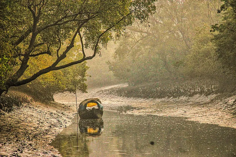 The Living Delta